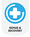 Repair and Recovery 